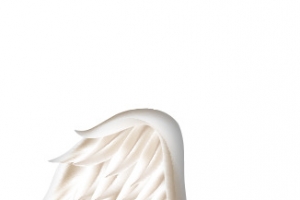 左半边天使的白色翅膀