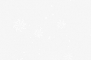冬季纯洁白色雪花