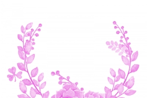 花，花瓣，花朵81