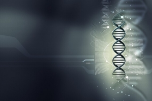 DNA分子细胞组合