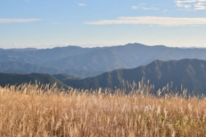 草 田野 丘陵 山脉 干燥 自然 4k壁纸 3840x2160