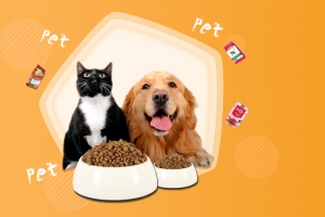 萌宠卡通黄色banner