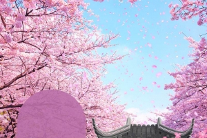 唯美春天醉美樱花节春季旅游
