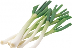 一排整齐的绿色大葱