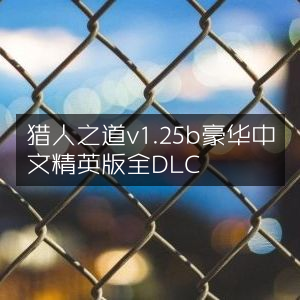 猎人之道1.25b豪华中文精英全DLC版