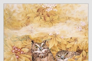 中国名家花朵猫头鹰画集