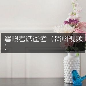 驾照考试备考资料与视频指南