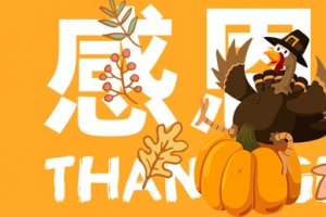 感恩节火鸡首图