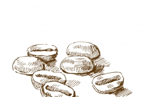 手绘几粒咖啡豆素描