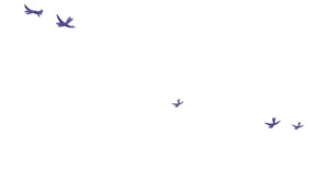 成群的乌鸦在空中飞