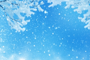 雪花飘冬季雪景背景