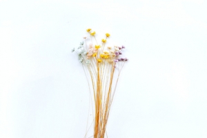 干花背景