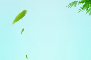 绿色手绘端午节展架