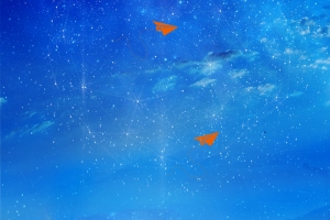 蓝色星空剪影放飞梦想为梦想奋斗海报