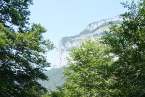 树 草 山 自然 4k壁纸 3840x2160