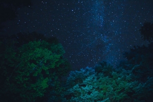星空 星星 夜晚 树木 4k壁纸 3840x2160