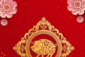 金猪贺岁2019猪年海报