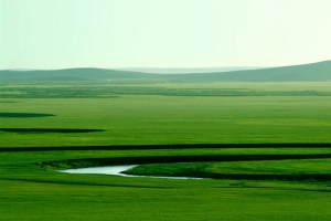 绿色草原河流背景