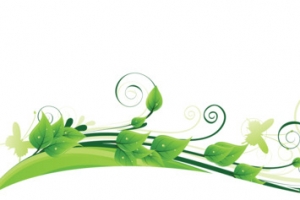 绿意美景树叶装饰高清PNG透明植物设计素材免费下载