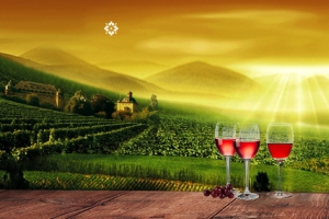 奢华高端红酒酒庄景色banner