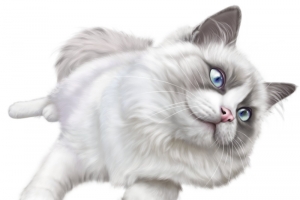 白色撒娇宠物猫可爱