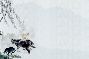 水墨风乡村牧童白酒海报背景psd