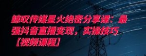 鲸叹传媒揭秘，抖音直播变现终极实操课，星火绝密视频分享