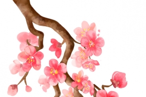 樱花浪漫唯美