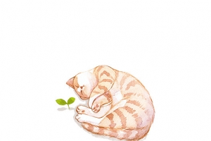 手绘水彩瞌睡猫咪