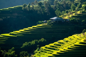美丽的山村风景梯田 树 房子 4k壁纸