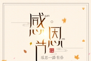 感恩节第二份