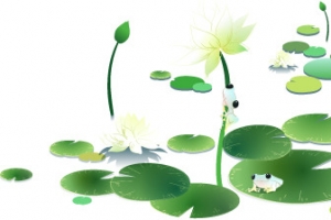 手绘荷花图片素材