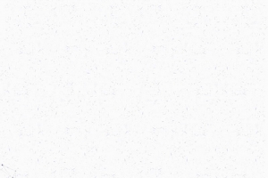 拼搏团结坚持企业文化