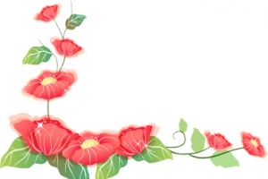 花，花朵，淘宝素材，花絮