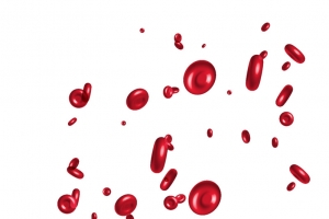 矢量红细胞素材