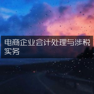 电商企业财会处理与税务实战指南