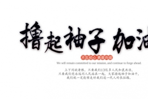 撸起袖子加油干