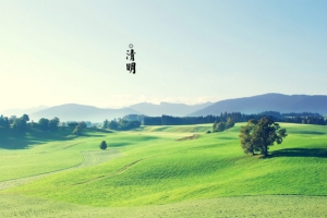 春天 四月 清明节 青团 海报 背景 4