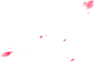唯美粉红色花瓣设计