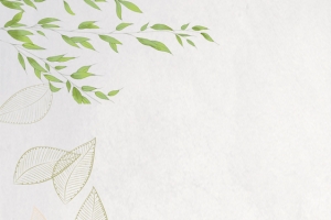 惊蛰文艺小清新纹理男孩灰banner