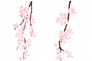 樱花素材