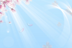 淡蓝色花瓣浪漫背景