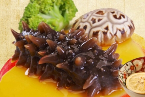 美食海参banner背景