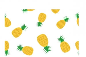 矢量凤梨底纹