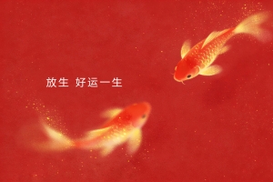 锦鲤放生好运一生 4K高清动物壁纸3840x2160免费下载