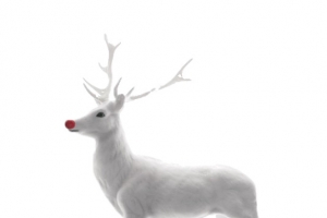 高清白色简约圣诞麋鹿
