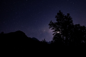 夜晚 星空 树木 剪影 4k壁纸 3840x2160