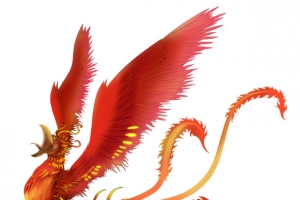 唯美金色凤凰