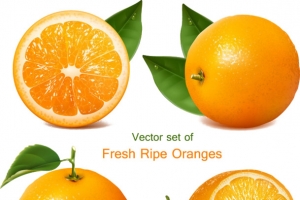 黄色橙子生鲜平面