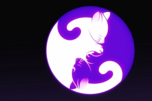 阴阳 阴阳 猫 和谐 4k壁纸 3840x2160